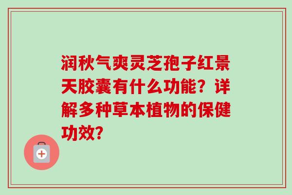 润秋气爽灵芝孢子红景天胶囊有什么功能？详解多种草本植物的保健功效？