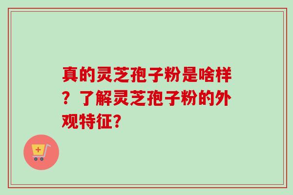 真的灵芝孢子粉是啥样？了解灵芝孢子粉的外观特征？