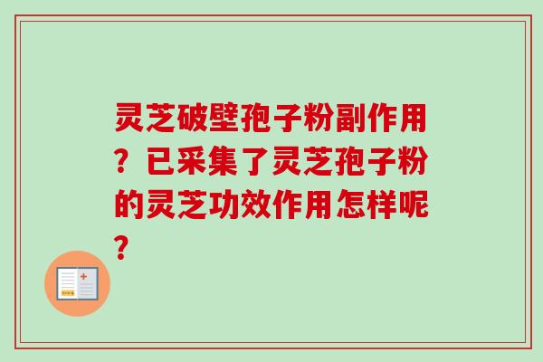 灵芝破壁孢子粉副作用？已采集了灵芝孢子粉的灵芝功效作用怎样呢？