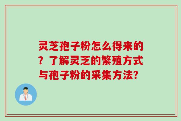 灵芝孢子粉怎么得来的？了解灵芝的繁殖方式与孢子粉的采集方法？