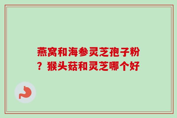 燕窝和海参灵芝孢子粉?猴头菇和灵芝哪个好 燕窝和海参灵芝孢子粉?猴头菇和灵芝哪个好