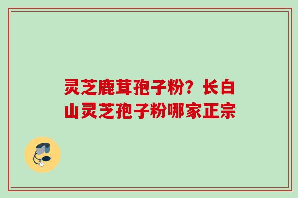 灵芝鹿茸孢子粉？长白山灵芝孢子粉哪家正宗