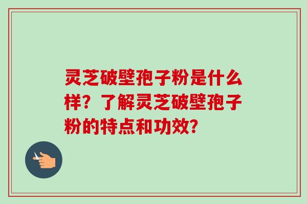 灵芝破壁孢子粉是什么样？了解灵芝破壁孢子粉的特点和功效？