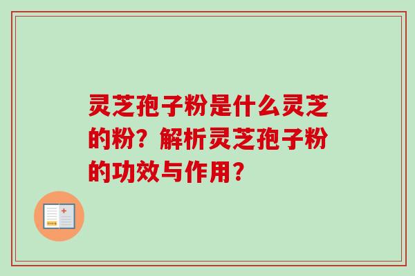 灵芝孢子粉是什么灵芝的粉？解析灵芝孢子粉的功效与作用？