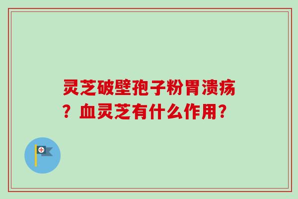 灵芝破壁孢子粉胃溃疡？血灵芝有什么作用？
