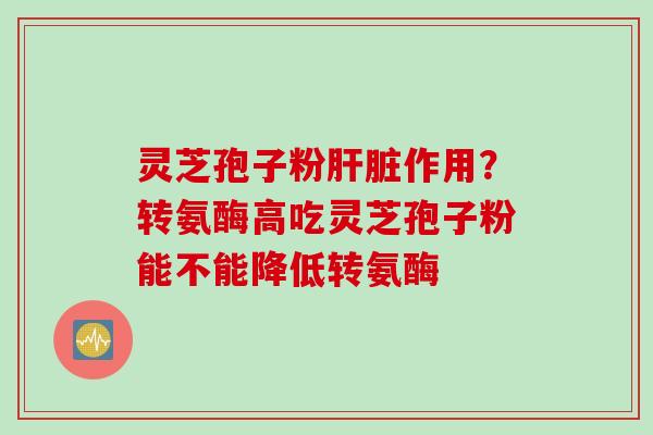 灵芝孢子粉作用？转氨酶高吃灵芝孢子粉能不能降低转氨酶