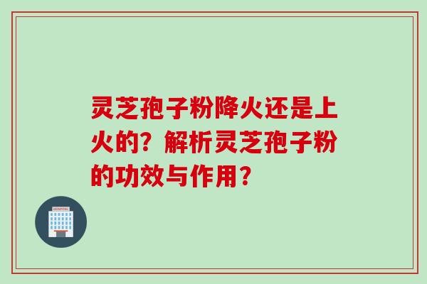 灵芝孢子粉降火还是上火的？解析灵芝孢子粉的功效与作用？