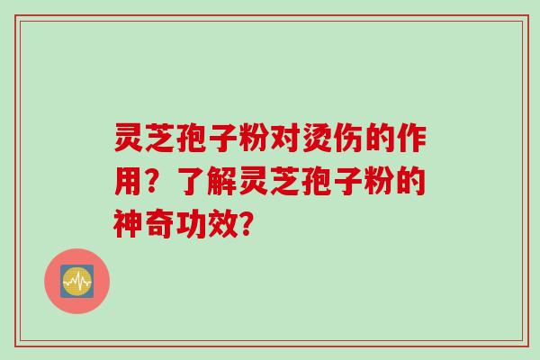 灵芝孢子粉对烫伤的作用？了解灵芝孢子粉的神奇功效？