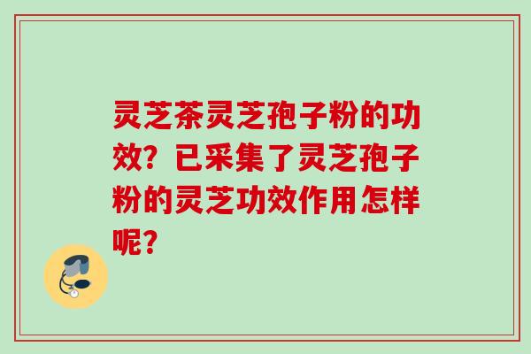 灵芝茶灵芝孢子粉的功效？已采集了灵芝孢子粉的灵芝功效作用怎样呢？