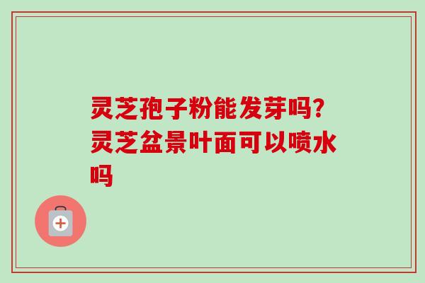 灵芝孢子粉能发芽吗?灵芝盆景叶面可以喷水吗 灵芝孢子粉能发芽吗?灵芝盆景叶面可以喷水吗