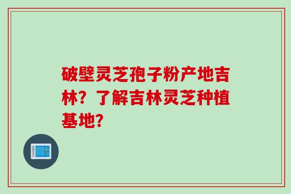 破壁灵芝孢子粉产地吉林？了解吉林灵芝种植基地？
