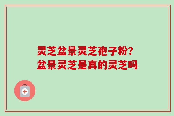 灵芝盆景灵芝孢子粉？盆景灵芝是真的灵芝吗