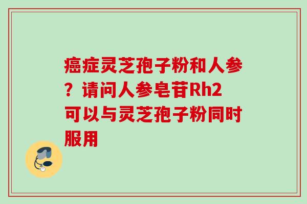 症灵芝孢子粉和人参?请问人参皂苷Rh2可以与灵芝孢子粉同时服用 症灵芝孢子粉和人参?请问人参皂苷Rh2可以与灵芝孢子粉同时服用