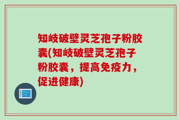 知岐破壁灵芝孢子粉胶囊(知岐破壁灵芝孢子粉胶囊，提高免疫力，促进健康)