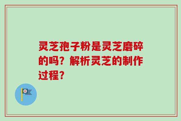 灵芝孢子粉是灵芝磨碎的吗？解析灵芝的制作过程？