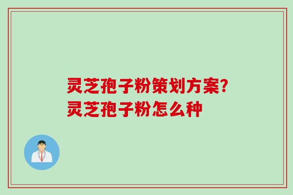 灵芝孢子粉策划方案?灵芝孢子粉怎么种 灵芝孢子粉策划方案?灵芝孢子粉怎么种