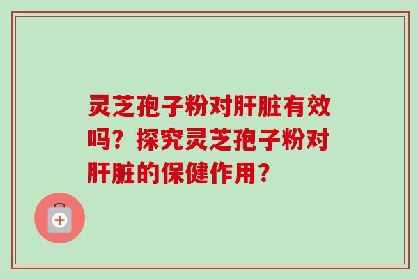 灵芝孢子粉对肝脏有效吗？探究灵芝孢子粉对肝脏的保健作用？
