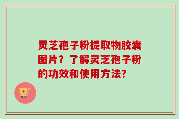 灵芝孢子粉提取物胶囊图片？了解灵芝孢子粉的功效和使用方法？