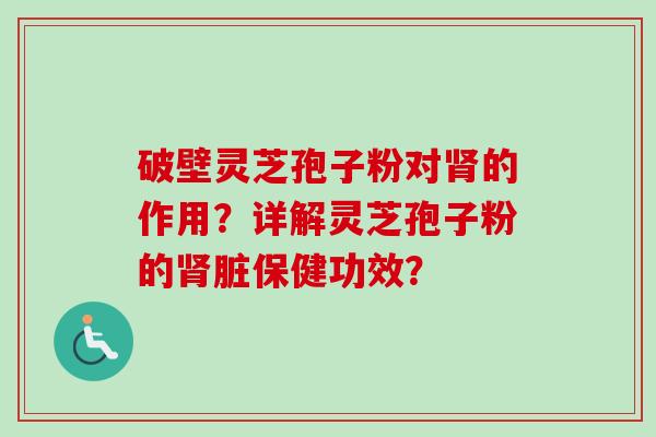 破壁灵芝孢子粉对肾的作用？详解灵芝孢子粉的肾脏保健功效？