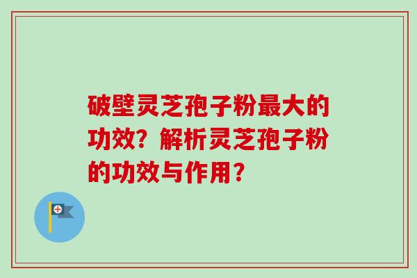 破壁灵芝孢子粉最大的功效？解析灵芝孢子粉的功效与作用？