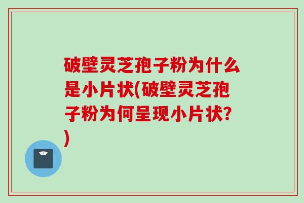 破壁灵芝孢子粉为什么是小片状(破壁灵芝孢子粉为何呈现小片状？)