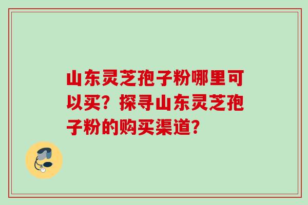 山东灵芝孢子粉哪里可以买？探寻山东灵芝孢子粉的购买渠道？