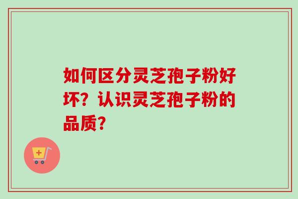 如何区分灵芝孢子粉好坏？认识灵芝孢子粉的品质？