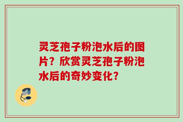 灵芝孢子粉泡水后的图片？欣赏灵芝孢子粉泡水后的奇妙变化？