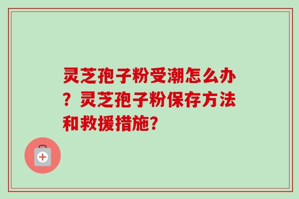 灵芝孢子粉受潮怎么办?灵芝孢子粉保存方法和救援措施? 灵芝孢子粉受潮怎么办?灵芝孢子粉保存方法和救援措施?