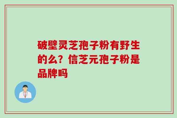 破壁灵芝孢子粉有野生的么？信芝元孢子粉是品牌吗