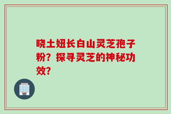 晓土妞长白山灵芝孢子粉？探寻灵芝的神秘功效？