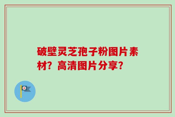 破壁灵芝孢子粉图片素材？高清图片分享？