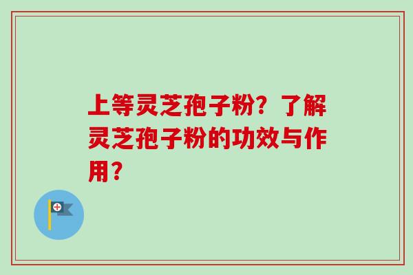 上等灵芝孢子粉？了解灵芝孢子粉的功效与作用？