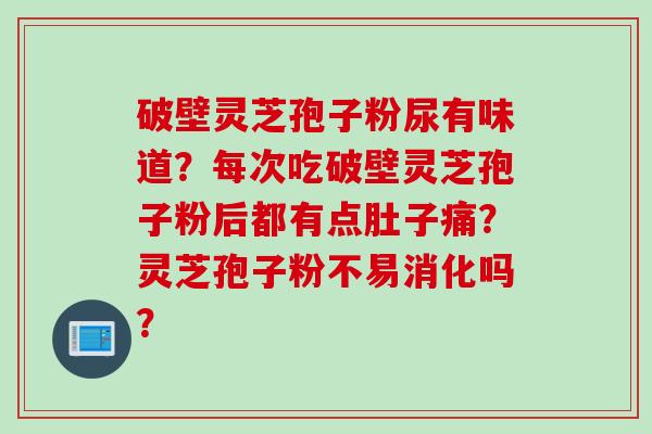 破壁灵芝孢子粉尿有味道？每次吃破壁灵芝孢子粉后都有点肚子痛？灵芝孢子粉不易消化吗？
