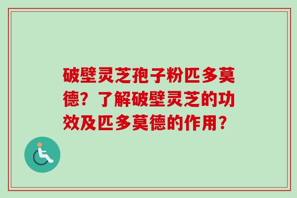 破壁灵芝孢子粉匹多莫德？了解破壁灵芝的功效及匹多莫德的作用？