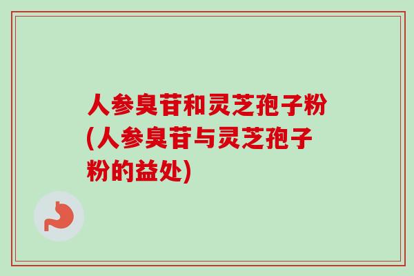 人参臭苷和灵芝孢子粉(人参臭苷与灵芝孢子粉的益处)