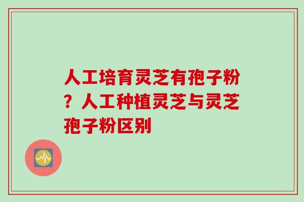 人工培育灵芝有孢子粉?人工种植灵芝与灵芝孢子粉区别 人工培育灵芝有孢子粉?人工种植灵芝与灵芝孢子粉区别
