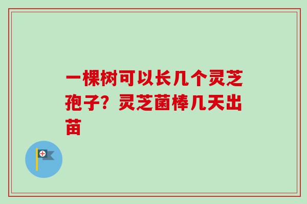 一棵树可以长几个灵芝孢子？灵芝菌棒几天出苗