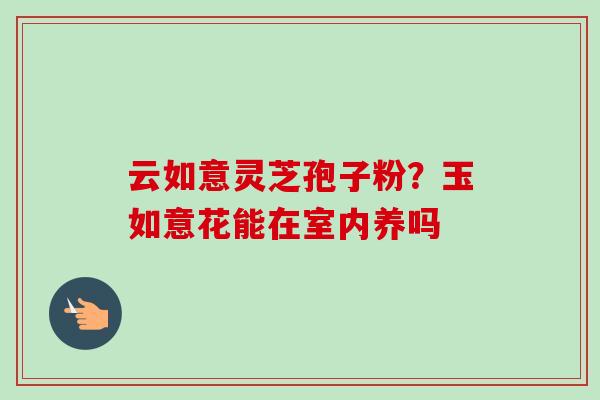 云如意灵芝孢子粉？玉如意花能在室内养吗