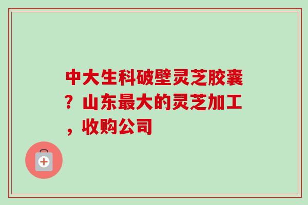 中大生科破壁灵芝胶囊？山东最大的灵芝加工，收购公司