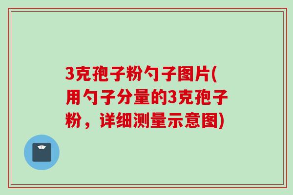 3克孢子粉勺子图片(用勺子分量的3克孢子粉，详细测量示意图)