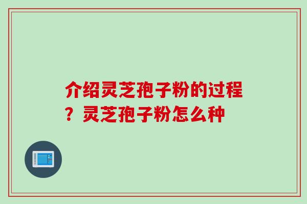 介绍灵芝孢子粉的过程？灵芝孢子粉怎么种