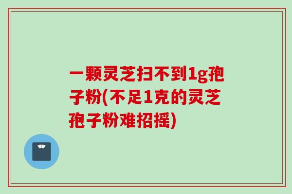 一颗灵芝扫不到1g孢子粉(不足1克的灵芝孢子粉难招摇)