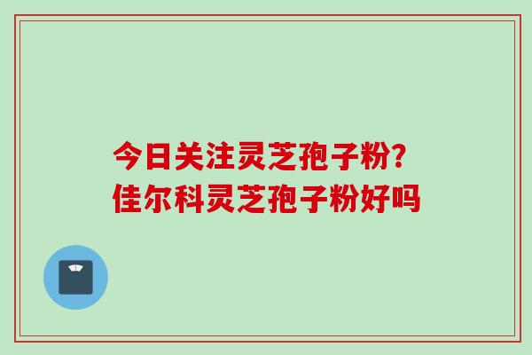 今日关注灵芝孢子粉?佳尔科灵芝孢子粉好吗 今日关注灵芝孢子粉?佳尔科灵芝孢子粉好吗
