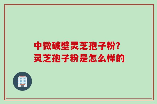 中微破壁灵芝孢子粉？灵芝孢子粉是怎么样的