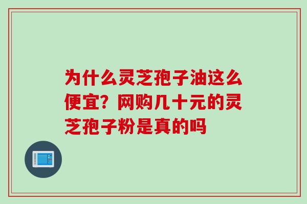 为什么灵芝孢子油这么便宜？网购几十元的灵芝孢子粉是真的吗