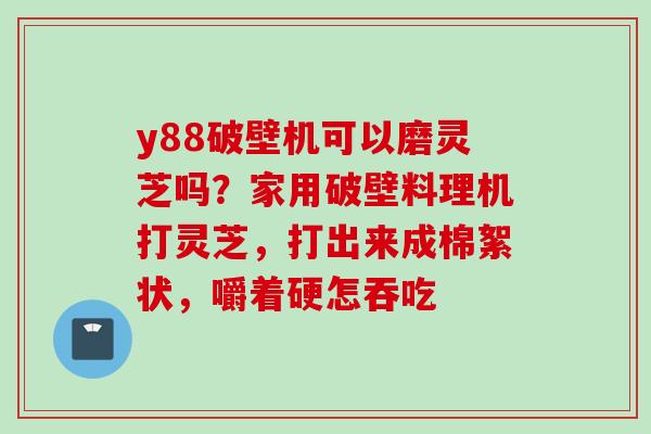 y88破壁机可以磨灵芝吗？家用破壁料理机打灵芝，打出来成棉絮状，嚼着硬怎吞吃