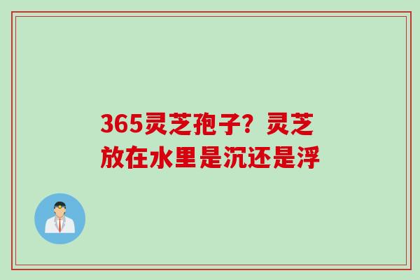 365灵芝孢子?灵芝放在水里是沉还是浮 365灵芝孢子?灵芝放在水里是沉还是浮