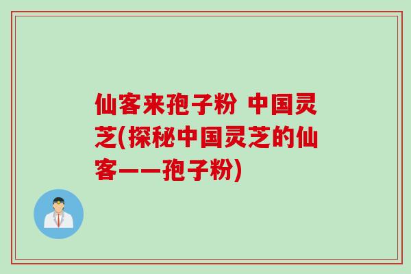 仙客来孢子粉 中国灵芝(探秘中国灵芝的仙客——孢子粉) 仙客来孢子粉 中国灵芝(探秘中国灵芝的仙客——孢子粉)