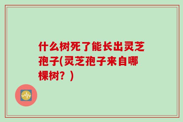 什么树死了能长出灵芝孢子(灵芝孢子来自哪棵树？)